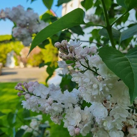 Villa Folwark Leszczynowka Srebrna Góra Esterno foto