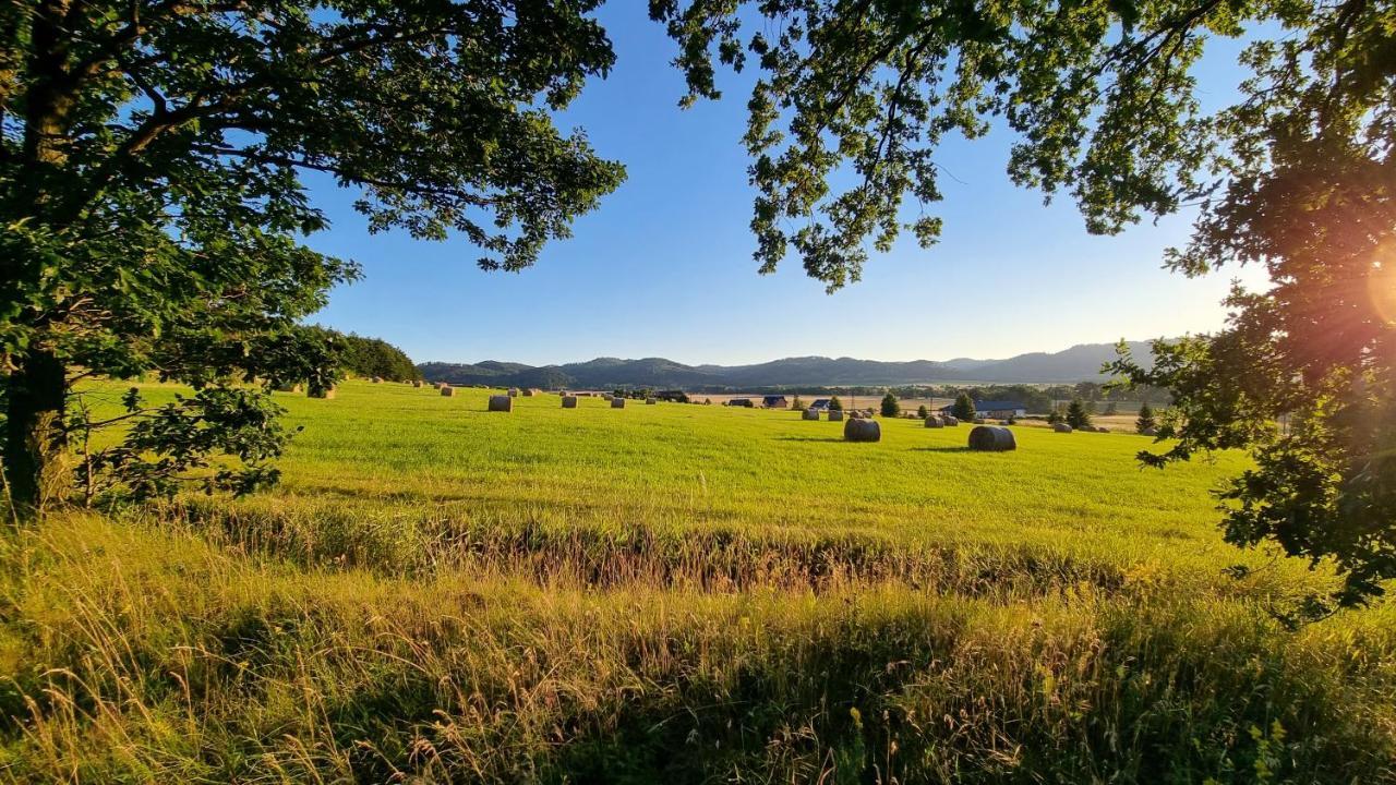 Villa Folwark Leszczynowka Srebrna Góra Esterno foto