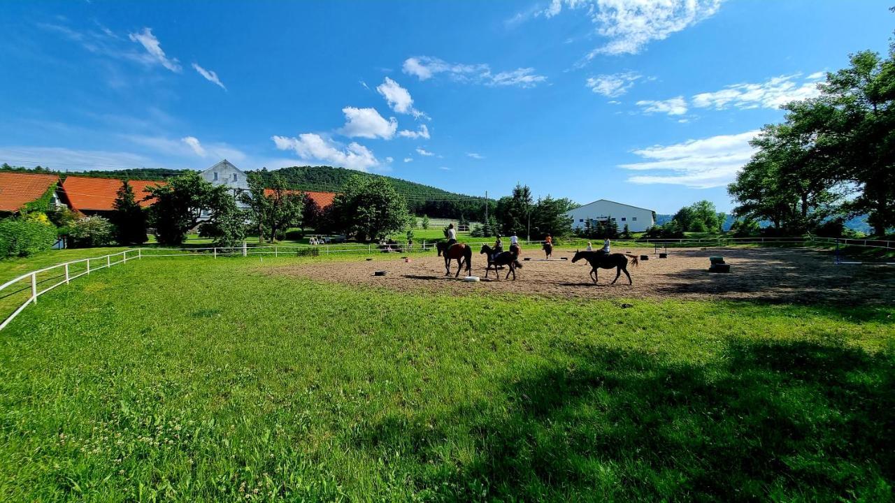 Villa Folwark Leszczynowka Srebrna Góra Esterno foto