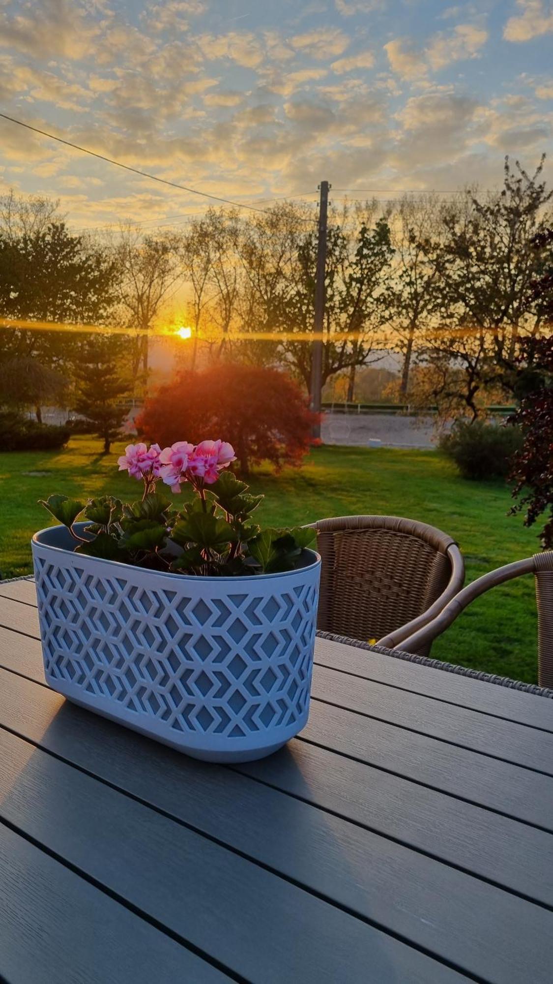 Villa Folwark Leszczynowka Srebrna Góra Esterno foto