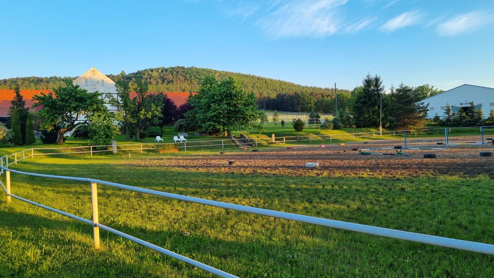 Villa Folwark Leszczynowka Srebrna Góra Esterno foto