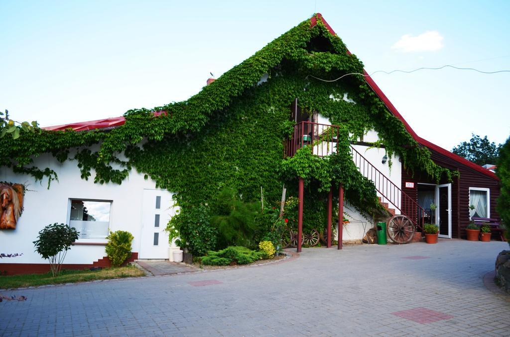 Villa Folwark Leszczynowka Srebrna Góra Esterno foto