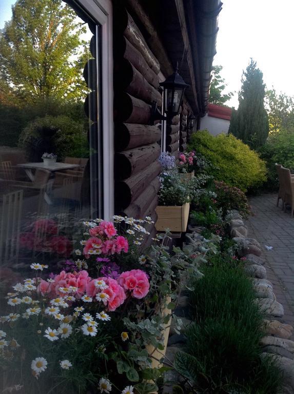Villa Folwark Leszczynowka Srebrna Góra Esterno foto