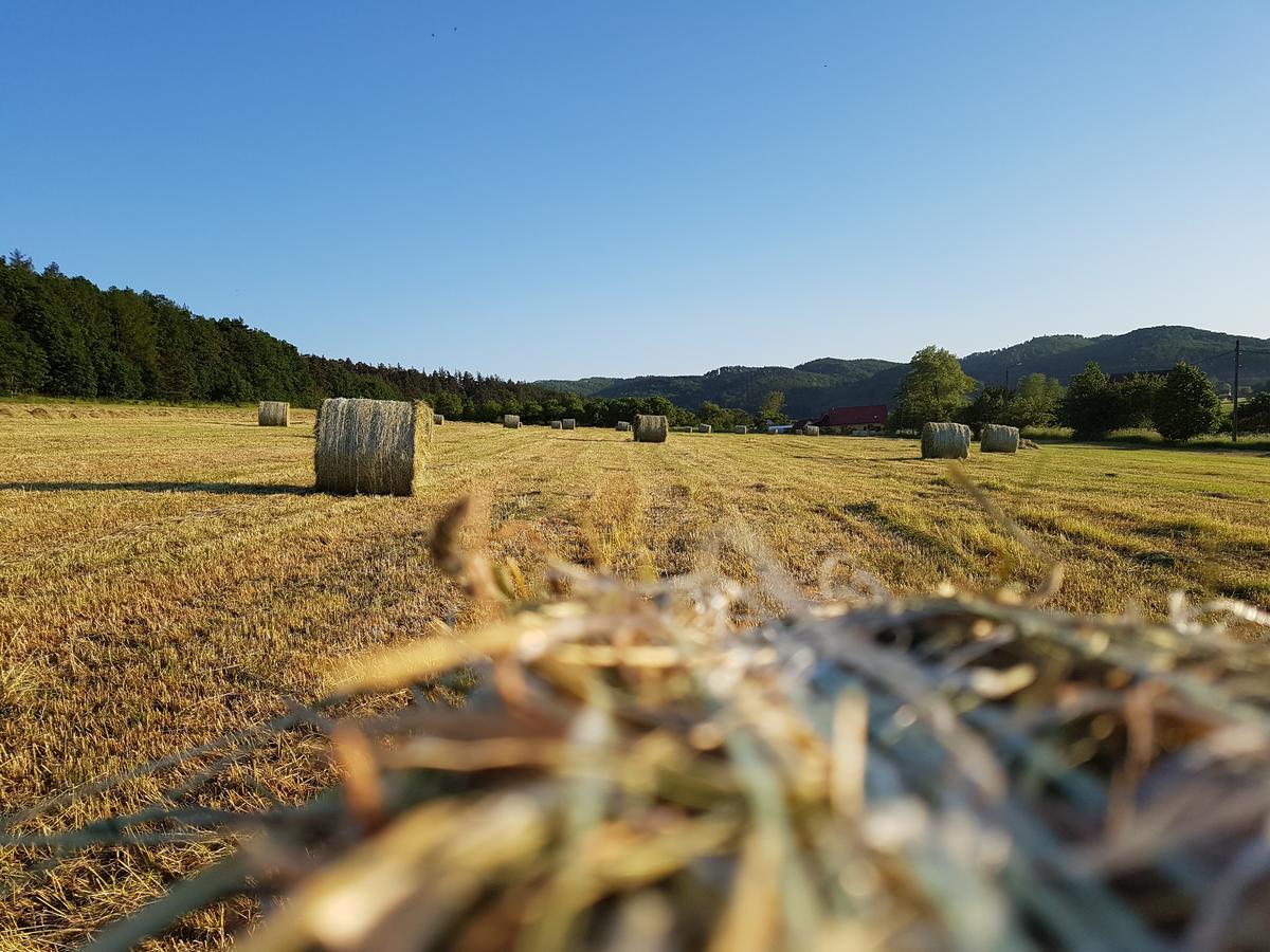 Villa Folwark Leszczynowka Srebrna Góra Esterno foto