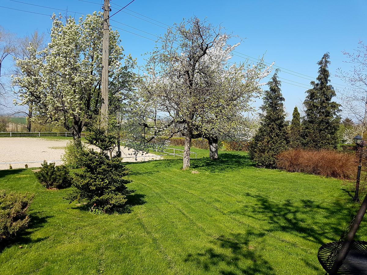 Villa Folwark Leszczynowka Srebrna Góra Esterno foto