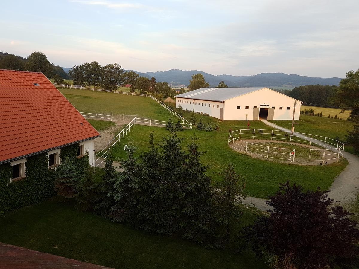 Villa Folwark Leszczynowka Srebrna Góra Esterno foto