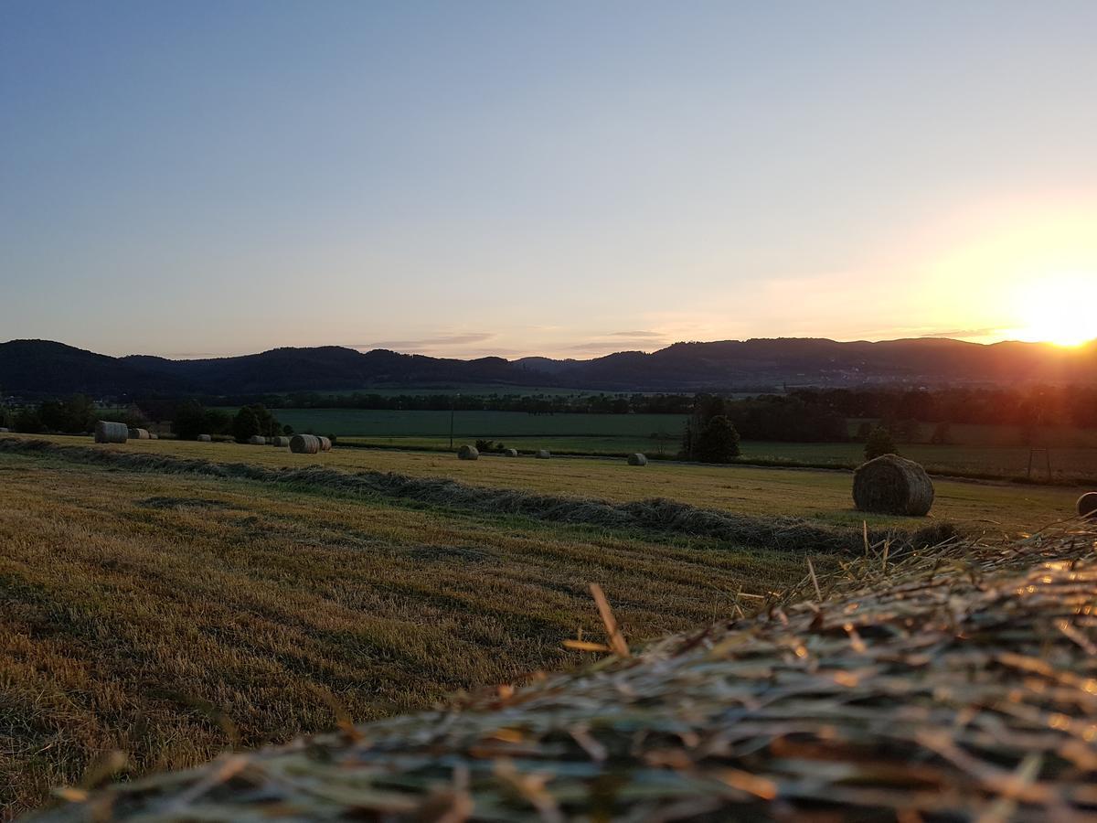 Villa Folwark Leszczynowka Srebrna Góra Esterno foto