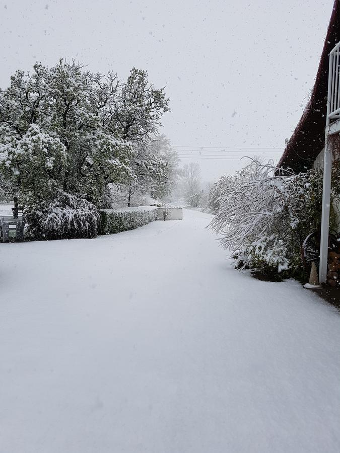 Villa Folwark Leszczynowka Srebrna Góra Esterno foto